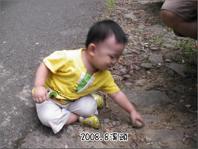 20250406-gbif7