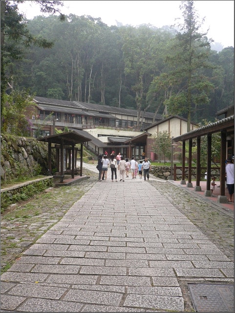 20250406-nzazk