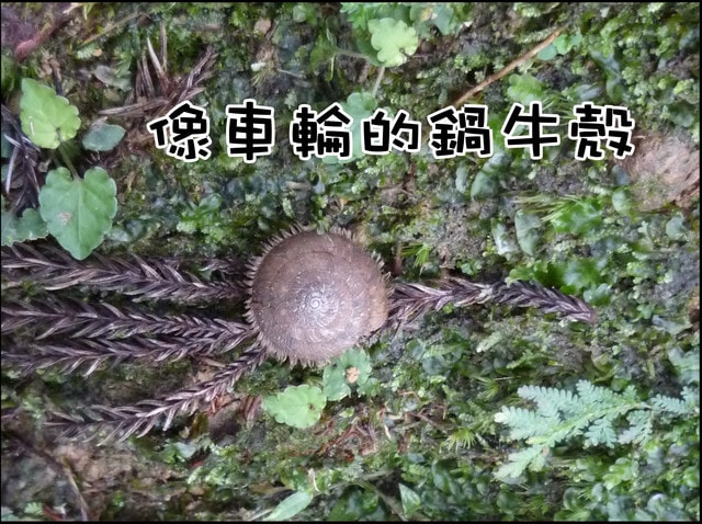 20250406-tbg07