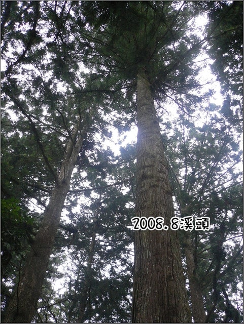20250406-w93k6