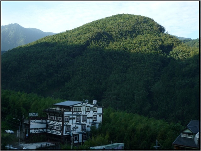 20250406-zaojf