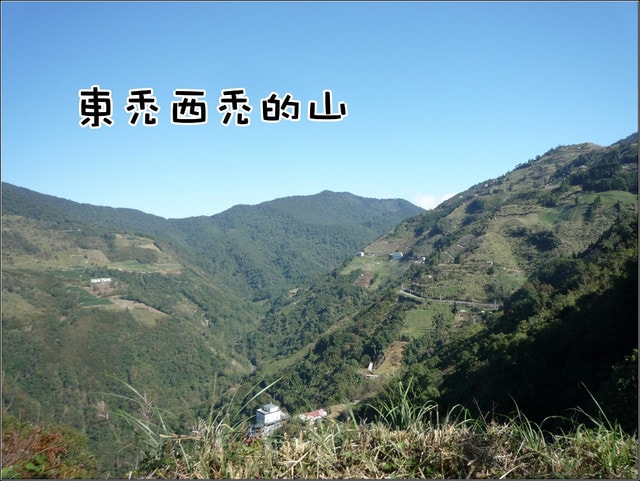 20250406 p9tmb