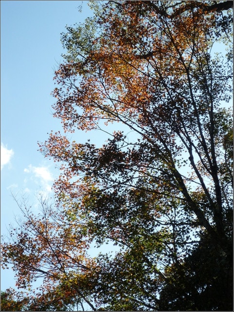 20250406-q4x25