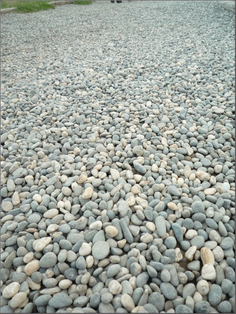 20250406-r6864