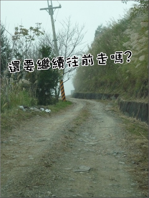 20250406-tki7m