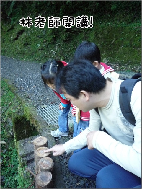 20250406-zijil