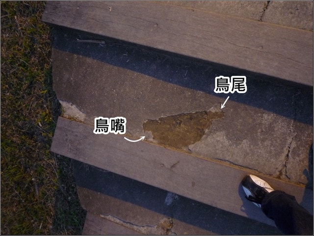 20250406-bas8o