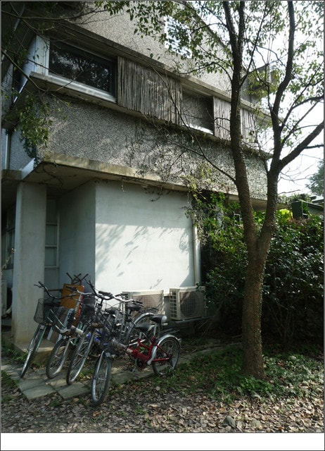 20250406-ct6dm