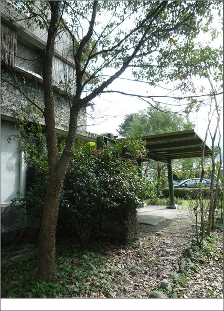 20250406-tj6ne