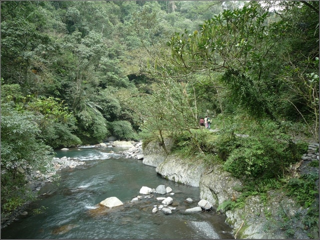 20250406-0nz4k