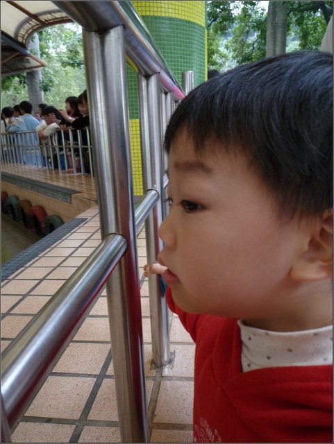 20250406-2xq80