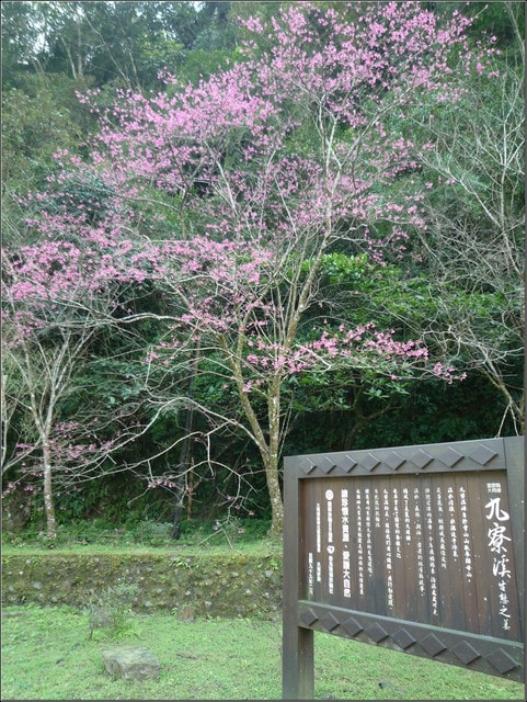 20250406-cftgs