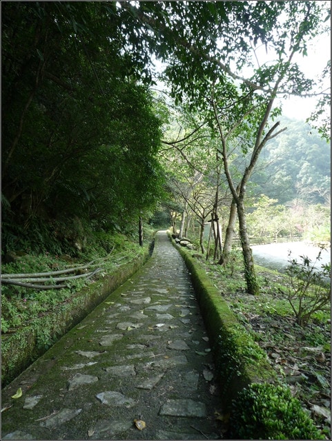 20250406-stsei