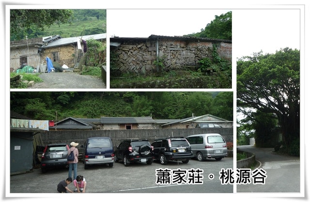 20250406-63ohg