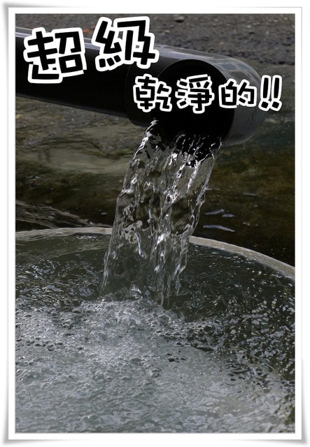 20250406-g8vso