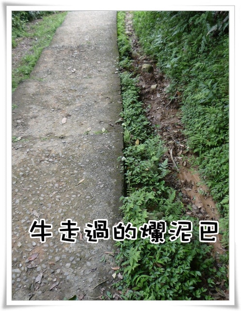 20250406-qp4gl