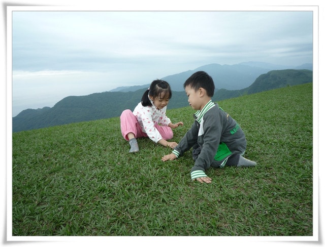 20250406-xf37v