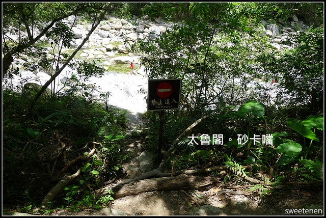 20250406-5zu9g
