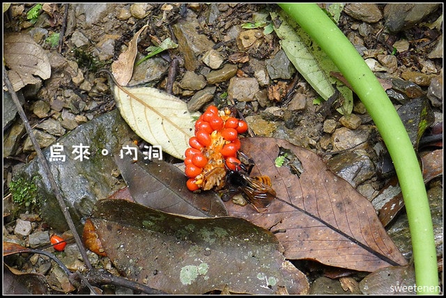 20250406-7phd8