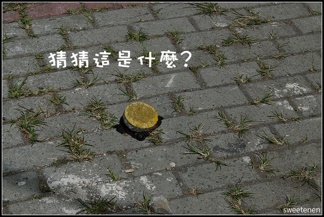 20250406-dtu55