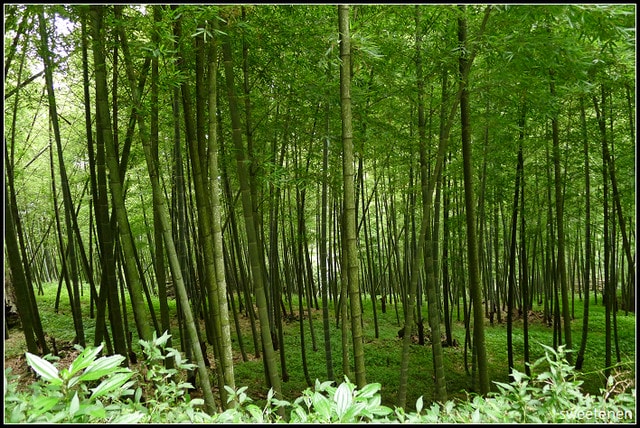20250406-eu18b