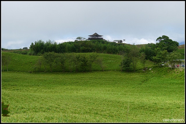 20250406-kitj9