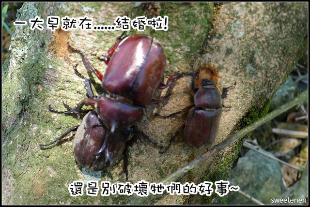 20250406-lh37g
