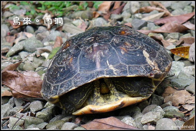 20250406-n761s