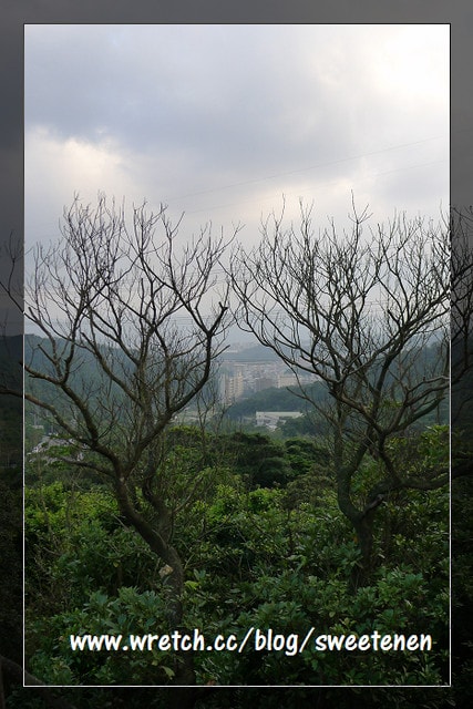 20250406-wb8yc