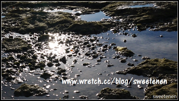 20250406-wjc36