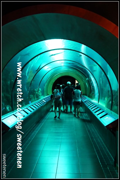 20250406-xszs2