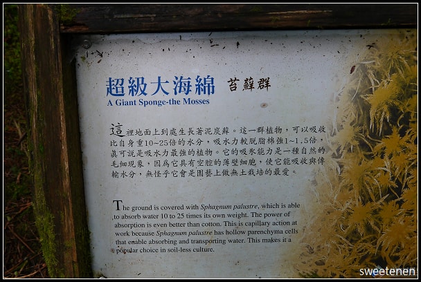 20250406-9d6ds