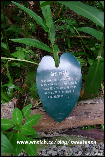 20250406-qlon7