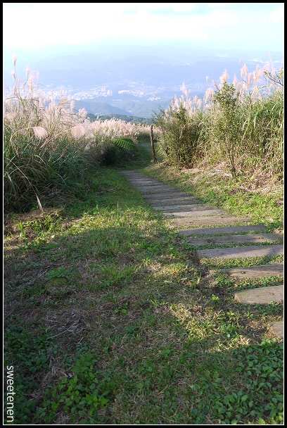 20250406-bdflq