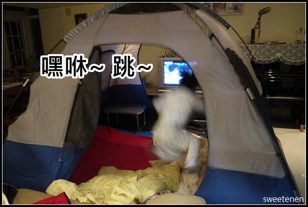 20250406-tpppc