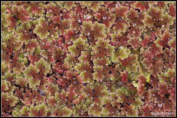 20250406-4xu8i