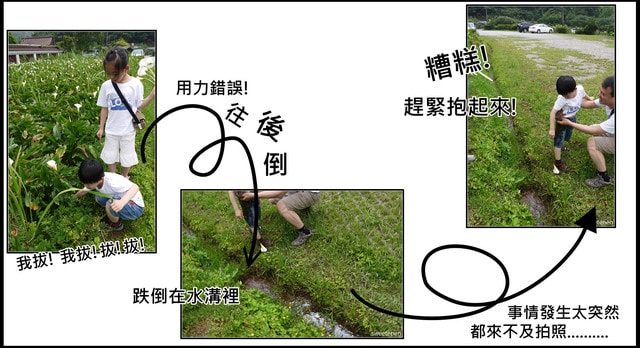 20250406-bk3zw