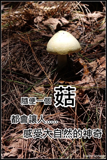 20250406-9d0qn