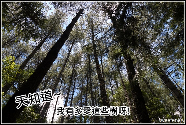 20250406-lr1jh