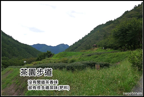 20250406-yi3gh