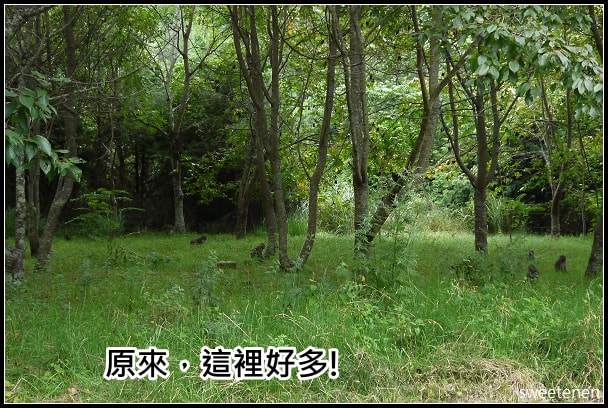 20250406-zp7t2