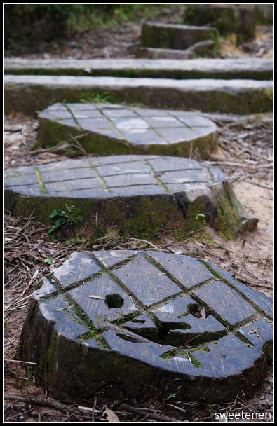 20250406-yuo95