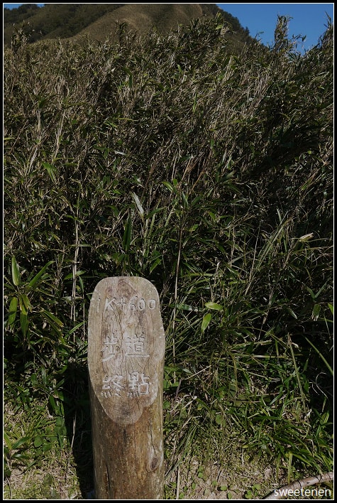 20250406-90pel