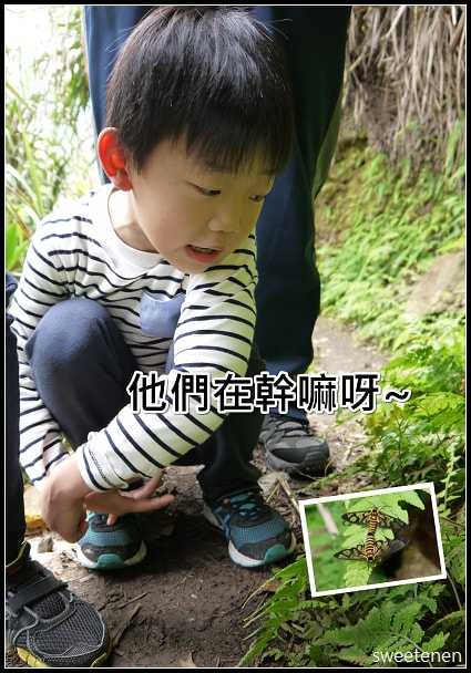 20250406-6djlu