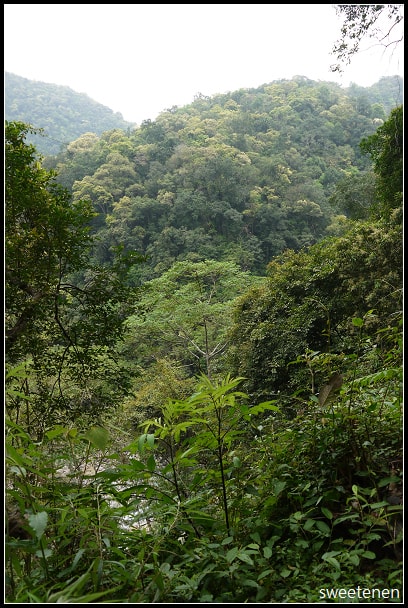 20250406-ck9rc