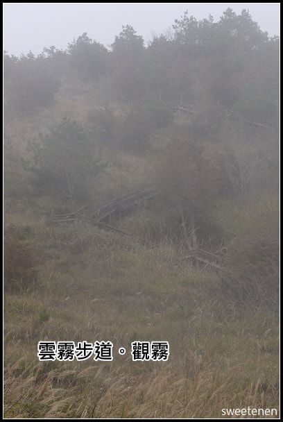 20250406-4cm11