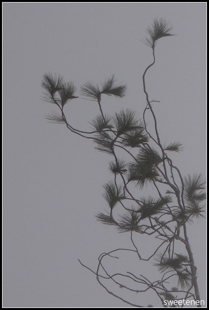 20250406-5h8fs
