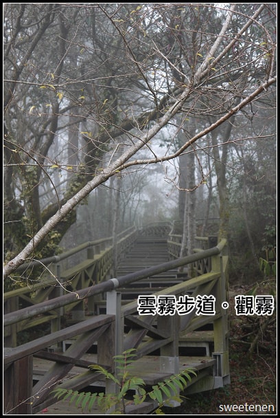20250406-6ld2n