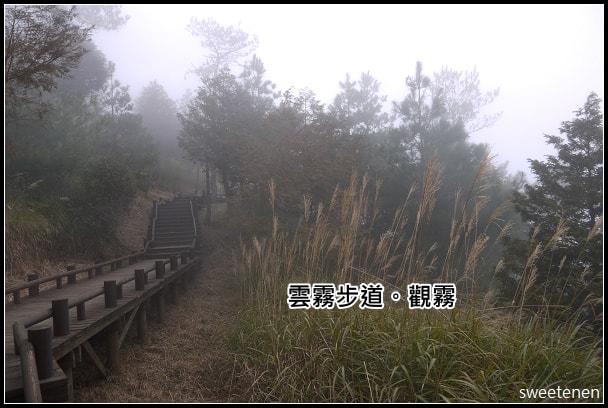 20250406-8bzzn
