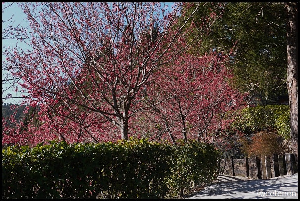 20250406-g8x94